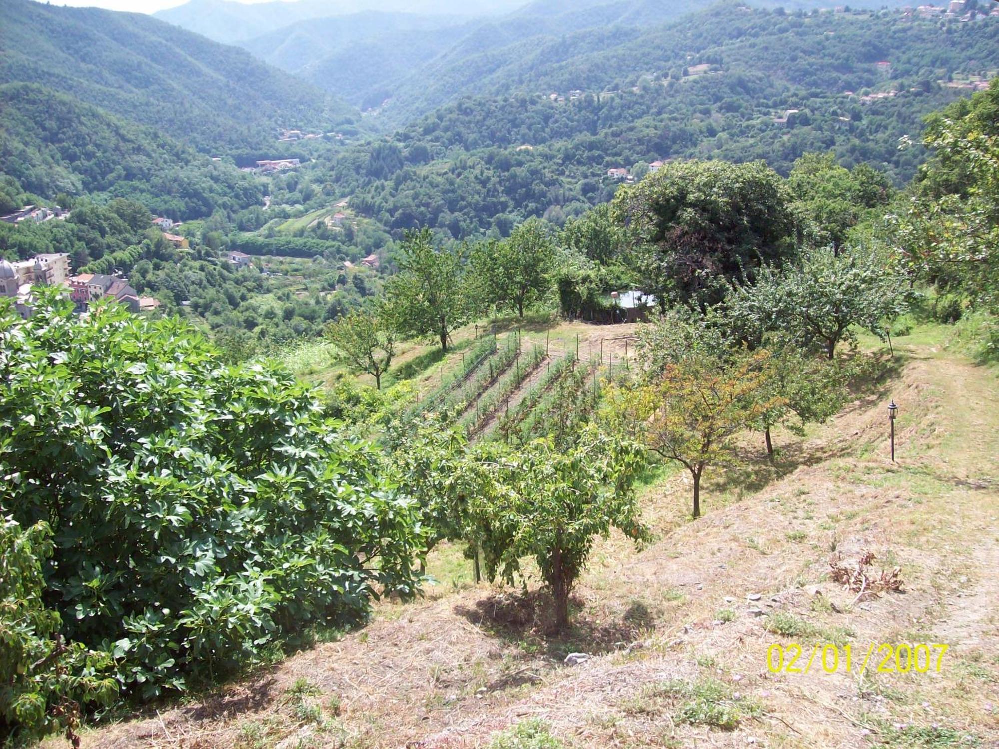 Agriturismo Rio Lunei Stella Extérieur photo